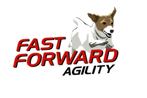 Fast Forward Agility logo